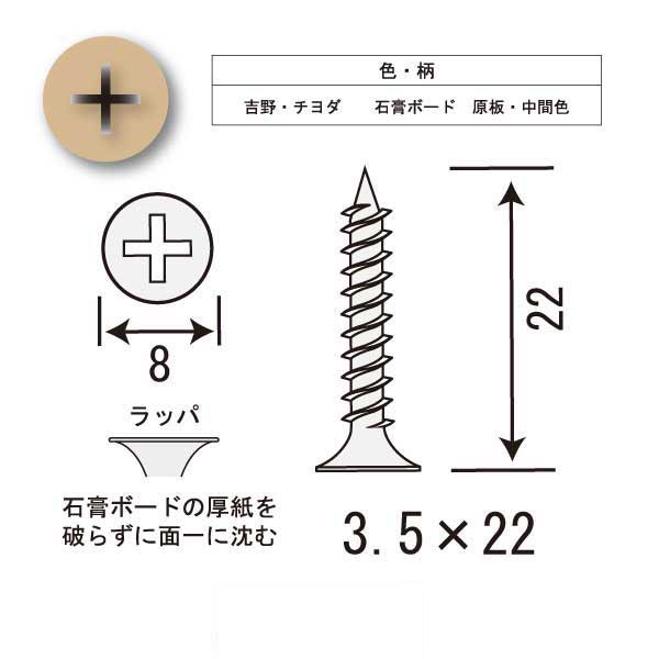 カラービスB-5（16箱入）