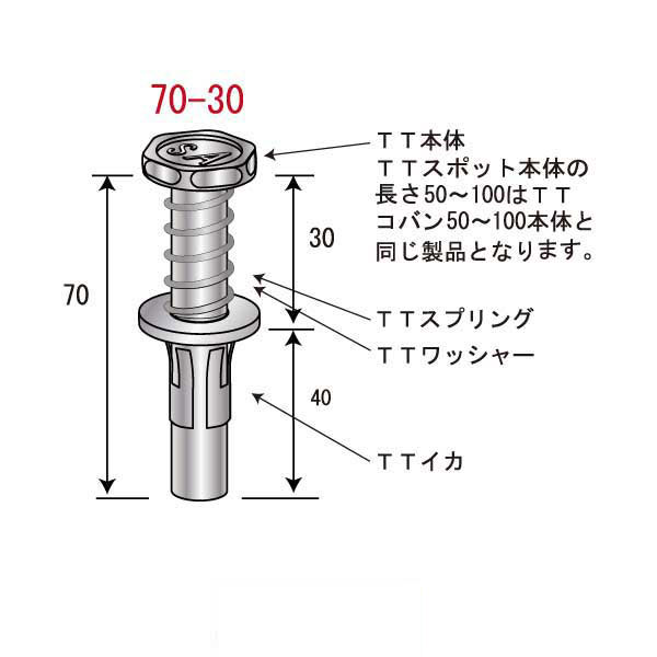 TTスポット70-30（250個入）