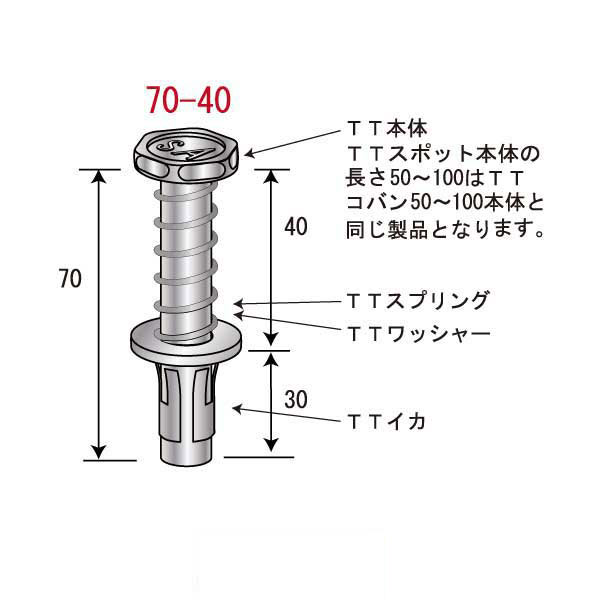 TTスポット70-40（250個入）